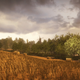 Image for article titled Everybody’s Gone To The Rapture explores new depths of tedium